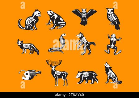 Collection of Halloween Animals Monster Skeletons. Roentgen skeleton bones, fairy tale creepy characters set. Cartoon black white vector isolated on p Stock Vector