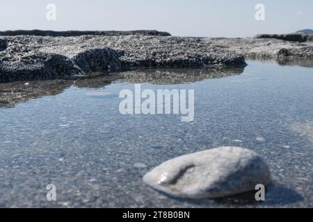 puddles of water with water on a wet asphalt road after heavy rain Stock Photo