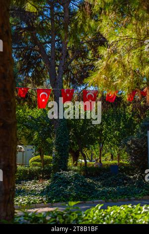 Turkish flag in a sunny day with palm trees and blue sky on the background. Turkey's national flag. Stock Photo