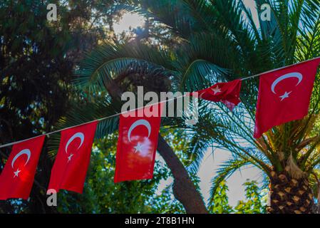 Turkish flag in a sunny day with palm trees and blue sky on the background. Turkey's national flag. Stock Photo