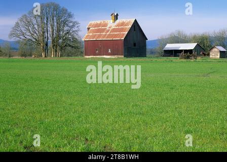 Willamette Valley farmland barn, Benton County, Oregon Stock Photo