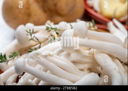 White shimeji edible mushrooms native to East Asia, buna-shimeji is widely cultivated and rich in umami tasting compounds. Mushrooms mix. Stock Photo