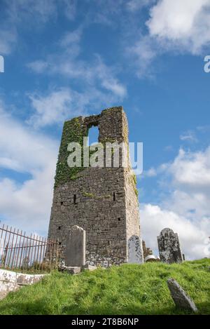 Low angle view of the old abbey ruin at Ardmulchan in County Meath Ireland Stock Photo