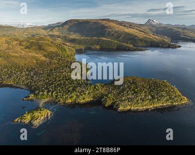 temperate-rainforest-at-cape-horn-biosphere-reserve-in-magellanic-sub