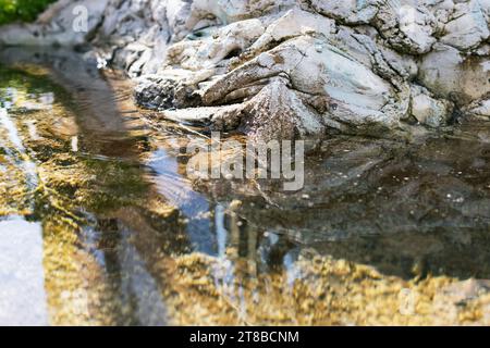 stream in a forest with clear water near a mountain of stones,close-up Stock Photo