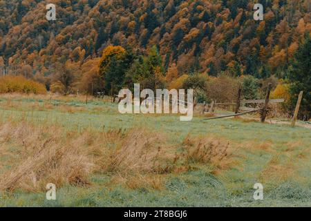 Autumn landscape in the mountains. Autumn Carpathian mountains with countryside road and wooden fence. Amazing rural landscape. Fall season in valley. Stock Photo