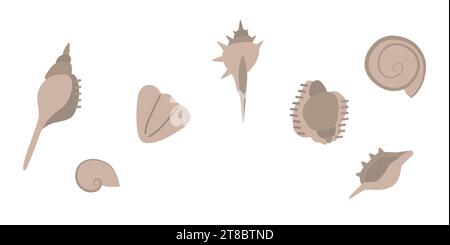 A set of seashells found on the beach. Vector illustration in pastel colors Stock Vector