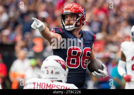 Houston Texans tight end Dalton Schultz 86 enters the field