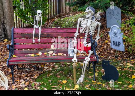Pirate skeleton front yard halloween decorations Stock Photo