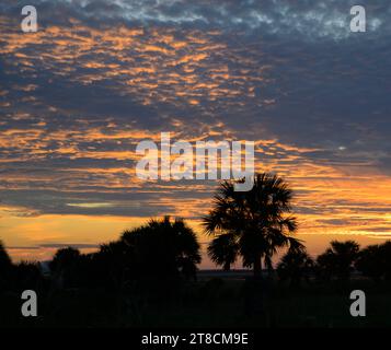 Sunset sky over Texas wetlands along the Gulf of Mexico, with altocumulus and cirrocumulus clouds Galveston, Texas, USA. Stock Photo