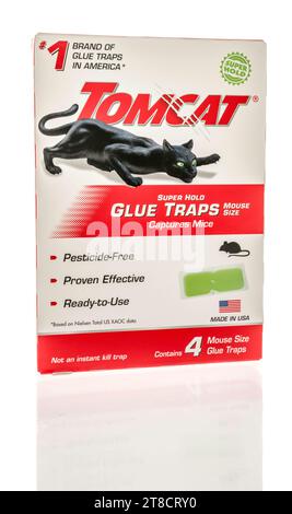 Winneconne, WI - 28 October 2023:  A package of tomcat super hold glue trap for mouse and mice on an isolated background Stock Photo