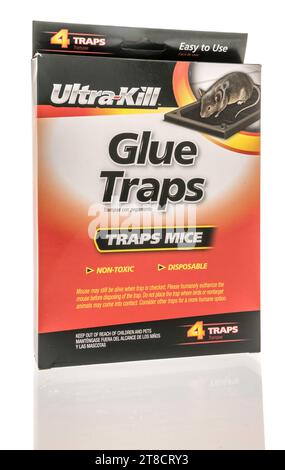 Winneconne, WI - 28 October 2023:  A package of Ultra kill  glue trap for mouse and mice on an isolated background Stock Photo