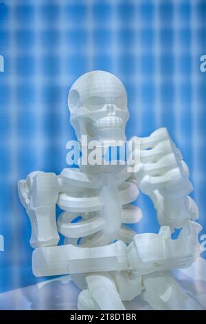 model printed on 3d printer in form of Skeleton,additive technologies and futuristic concept Stock Photo