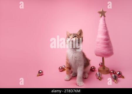 Small tricolor cute kitten on pink background sits near creative, woolen, fluffy Christmas tree with shiny balls. Isolated New Year design. Monochrome Stock Photo
