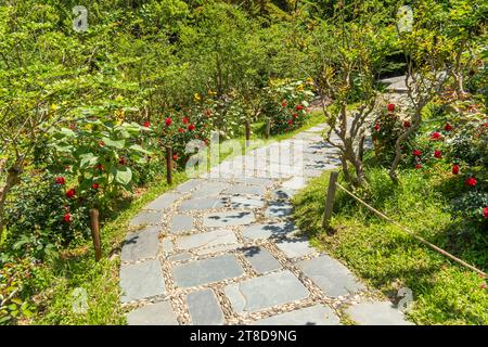 path leading through a flower garden Stock Photo