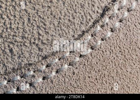 Two pieces of beige suede, sewn with double stitching with white threads. Macroftography. Stock Photo