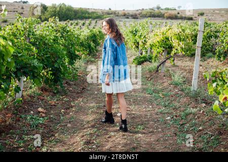 a beautiful woman goes to the vineyard for ripe grapes Stock Photo
