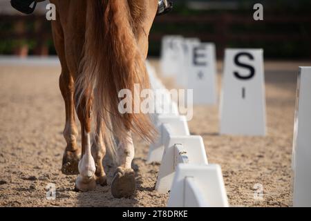 detail of the signs with letters used in classical horse dressage Stock Photo