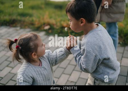 Two children, boy and a little girl, blowing on dandelion flowers in nature in summer. Child picking flowers. Children play outdoor. Nature and Stock Photo