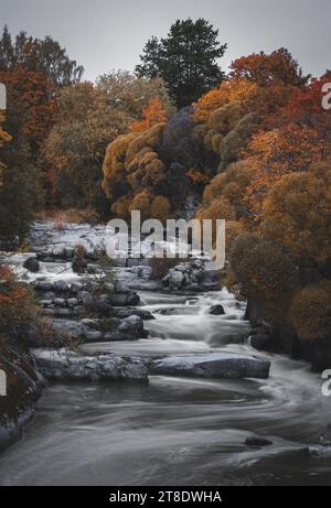 autumn landscape with red and yellow trees and leaves Stock Photo