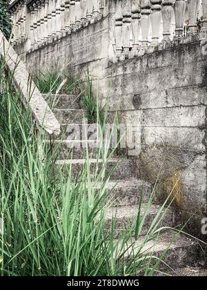 Vintage stone staircase overgrown with tall grass closeup Stock Photo
