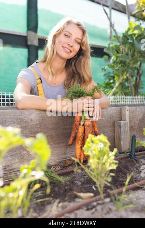 Happy blonde caucasian woman plucking carrots and smiling in sunny greenhouse Stock Photo