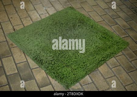 Wet Carpet. Carpet cleaning in the garage. Stock Photo