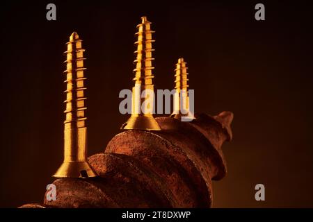 New brass screws juxtaposed with oversized rusty one Stock Photo