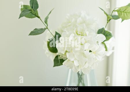 Close up image of white hydrangea flowers and green leaves Stock Photo
