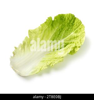 Single fresh raw Chinese cabbage leaf close up isolated on white background Stock Photo