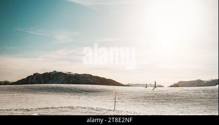 Family skiing in alps mountains on sunny day - Father and son riding down on ski during winter time - Snow sport training and vacation concept Stock Photo