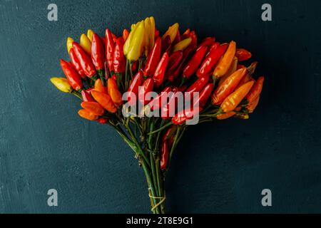 closeup of a bouquet of chili peppers of different colors on a dark green background Stock Photo