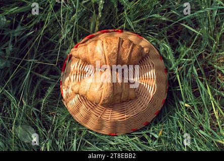 Different food on a picnic in the park Stock Photo