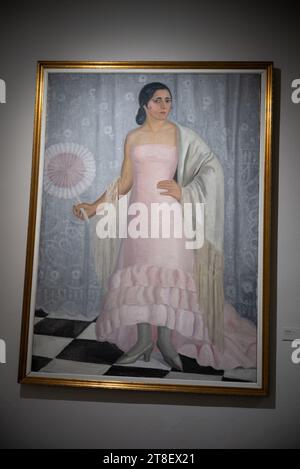 Madrid, Spain. 20th Nov, 2023. view of the AL BIES exhibition at the National Museum of Decorative Arts in Madrid, November 20, 2023, Spain (Photo by Oscar Gonzalez/Sipa USA) (Photo by Oscar Gonzalez/Sipa USA) Credit: Sipa USA/Alamy Live News Stock Photo