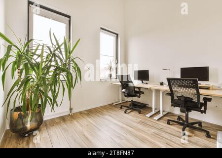 Computers on desks with chairs in home office of contemporary house with windows and potted plant Stock Photo