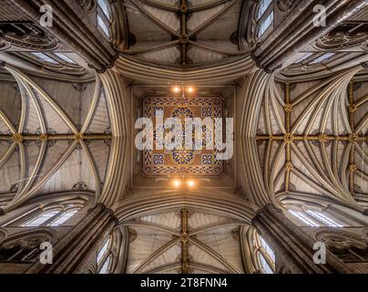 From below interior of Westminster Abbey church showcasing arches and vaults of its Gothic architecture with ornate chandeliers hanging from stone cei Stock Photo