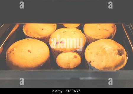 Traditional yeast Easter bread is baked in the oven. Easter cake Stock Photo
