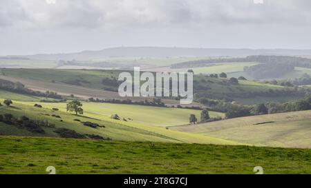 The rolling chalk downland landscape of England's Dorset Downs seen from Ridge Hill, with Grimstone Down and Hardy's Monument rising above Crete Botto Stock Photo