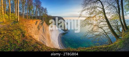 Beech trees on edge of eroded white chalk cliff in Jasmund National Park on Rugen Island in the Baltic Sea, Mecklenburg-Vorpommern, Germany Stock Photo