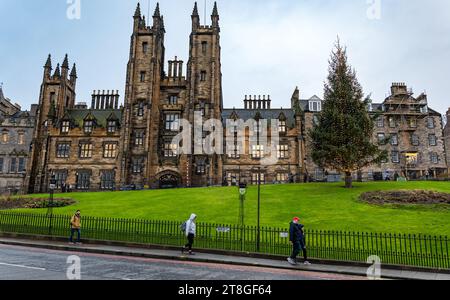 Edinburgh, Scotland, UK, 20th November 2023. The Norwegian Christmas tree on The Mound in front of the General Assembly, an annual gift from Vestland County Council, is an attraction in the dusk light just before its official switch on t. Credit: Sally  Anderson/Alamy Live News Stock Photo