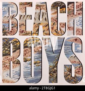 The Beach Boys - original vinyl album cover - The Beach Boys - 1985 Stock Photo