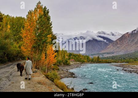 Nature's symphony in motion: misty mountains, tranquil lake, and a peaceful scene of a man tending to his herd. Stock Photo