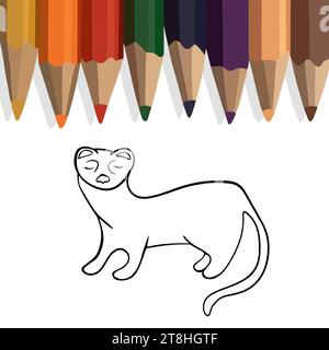 Vector isolated illustration of ferret animal coloring page.  Stock Vector