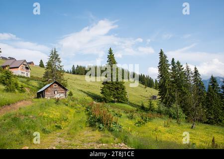 The beautiful nature of Rugova canyon in the countryside of Kosovo Stock Photo