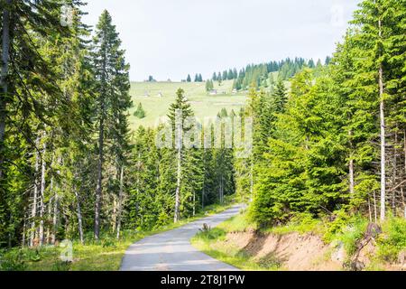 The beautiful nature of Rugova canyon in the countryside of Kosovo Stock Photo