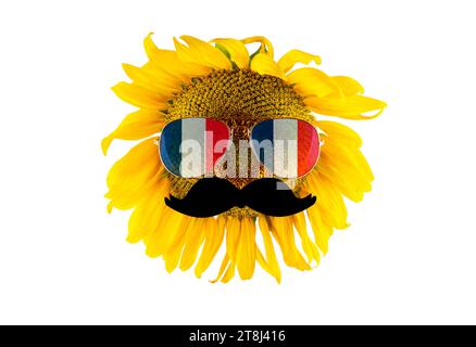 Sunflower with a mustache and glasses in the form of the flag of France (close-up) on a transparent background. The largest producer of vegetable oil Stock Photo