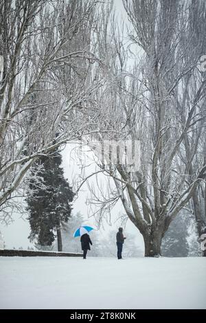 Couple with umbrella walking in snowy park Stock Photo