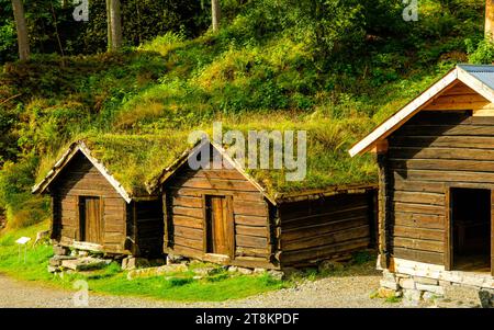 ALESUND, NORWAY - September 12 2023: Sunnmore Museum is an open air museum with 56 old homes with sod roofs, and one of the largest boat collections i Stock Photo