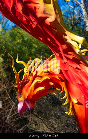 Fiery phoenix bird Chinese lantern art at Zoo Atlanta for IllumiNights at the Zoo in Atlanta, Georgia. (USA) Stock Photo