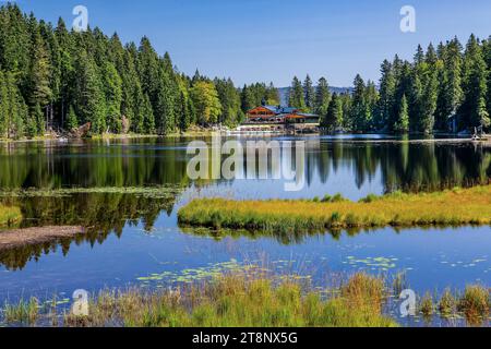 Nature reserve Grosser Arbersee with Arberseehaus, Bayerisch-Eisenstein, Karsee, Bavarian Forest, Lower Bavaria, Bavaria, Germany Stock Photo